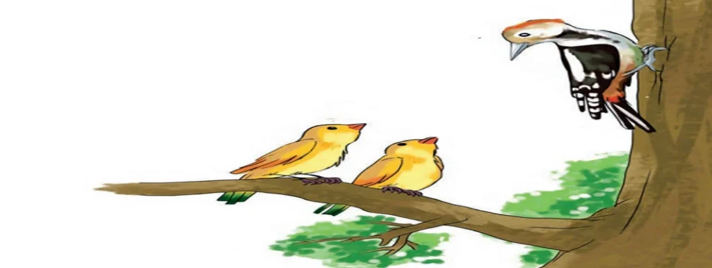 جواب درس ششم فارسی دوم ابتدایی