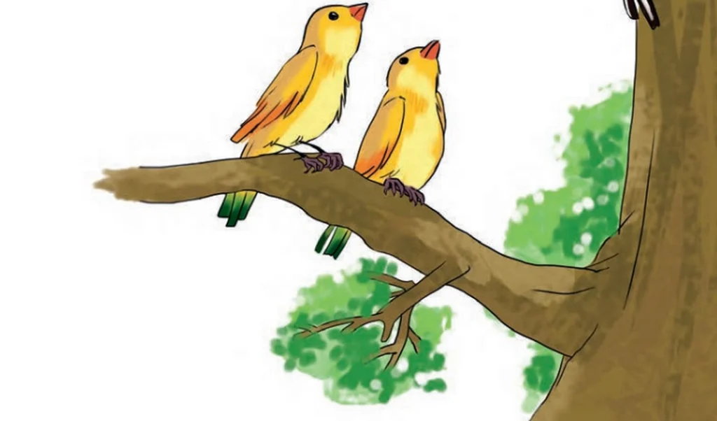 جواب درس ششم نگارش دوم ابتدایی