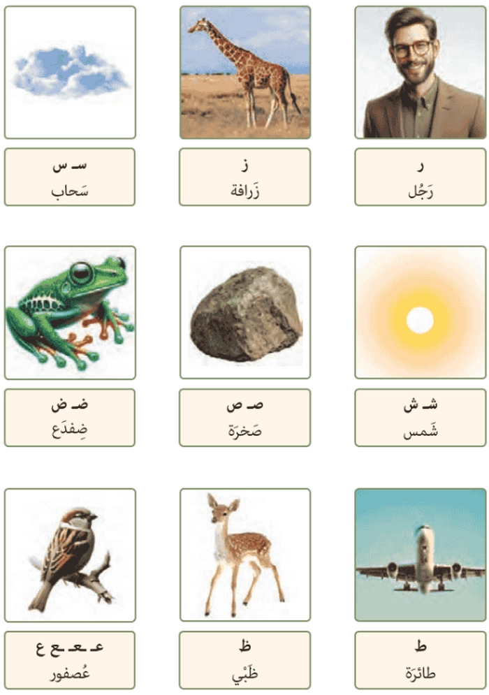 تصاویر صفحه ۱۲  عربی هفتم