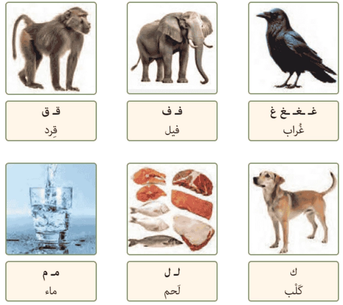 تصاویر صفحه ۱۳ و ۱۴ عربی هفتم