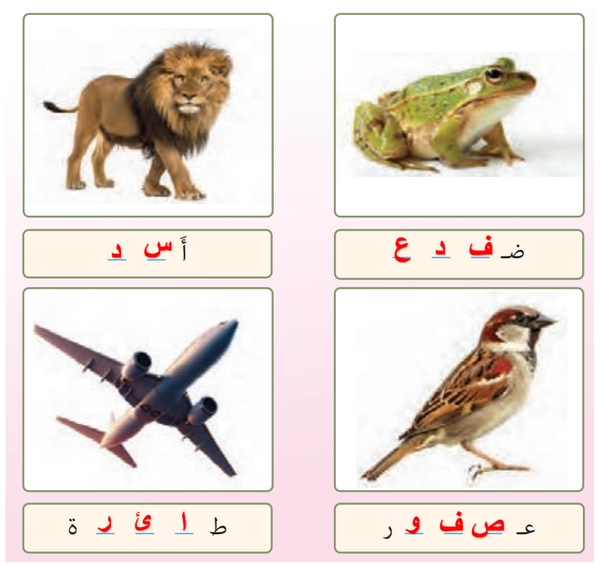 جواب تمرین صفحه ۱۴ عربی هفتم