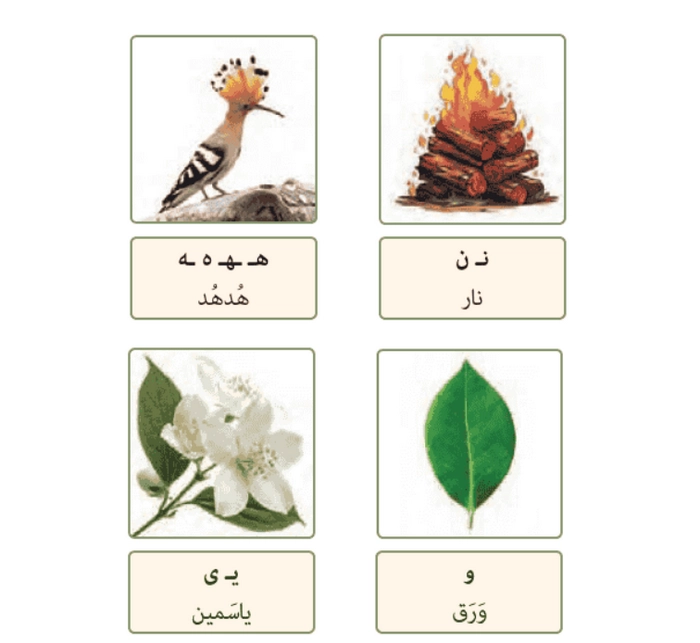 تصاویر صفحه ۱۳ و ۱۴ عربی هفتم