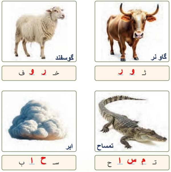 جواب تمرین صفحه ۱۵ درس ۱ عربی هفتم
