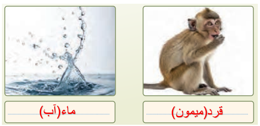 جواب تمرین صفحه ۱۶ عربی هفتم
