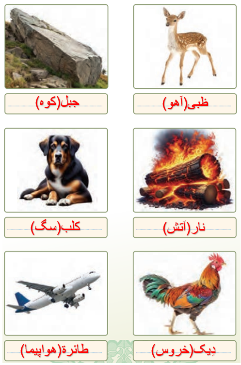 جواب تمرین صفحه ۱۶ عربی هفتم