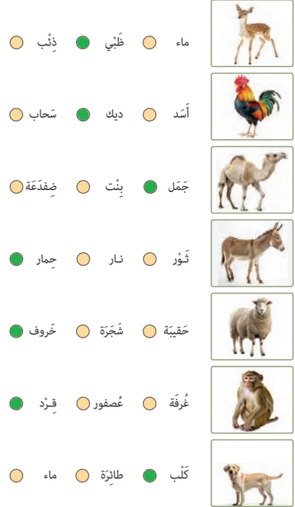 جواب تمرین برای خانه صفحه ۱۷ عربی هفتم
