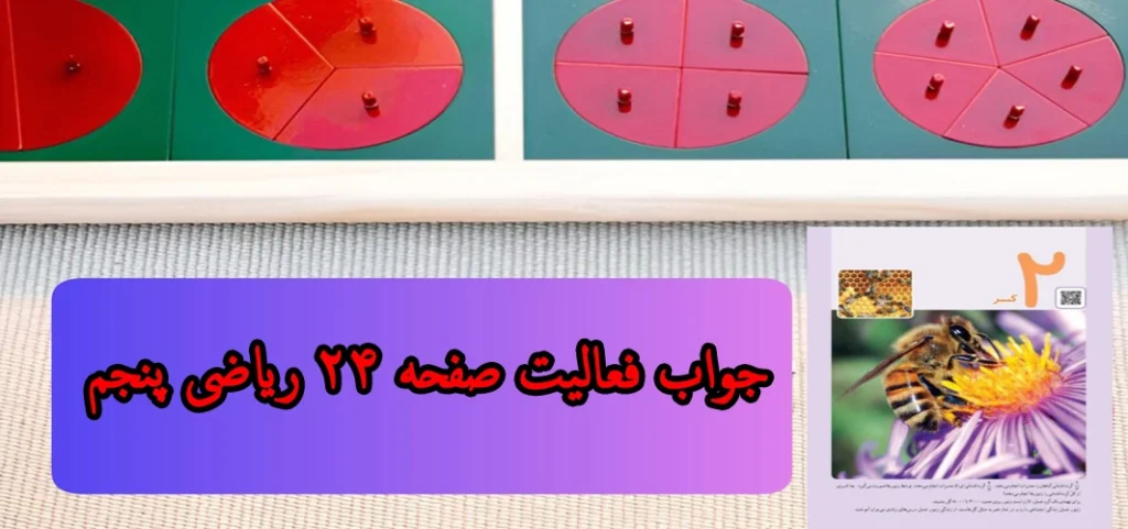 جواب فعالیت صفحه ۲۴ ریاضی پنجم