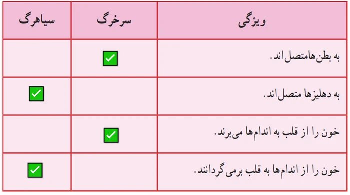 جواب فعالیت صفحه ۱۲۹ علوم هفتم
