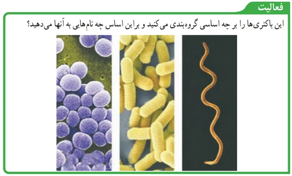 جواب فعالیت صفحه ۱۲۶ فصل ۱۱ علوم نهم
