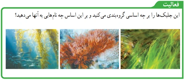 جواب فعالیت صفحه ۱۲۷ علوم نهم