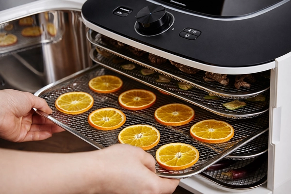 دستگاه خشک کن خانگی