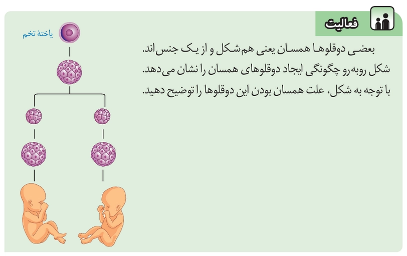 جواب فعالیت صفحه ۷۳ علوم هشتم‌