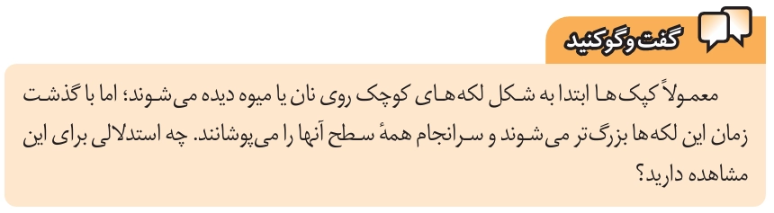 جواب گفت و گو کنید صفحه ۶۸ علوم هشتم‌