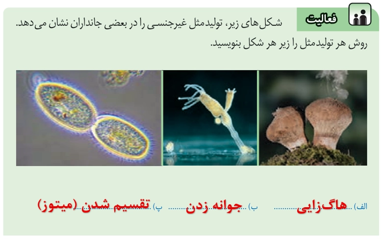 lesson 8 science 8th grade 8