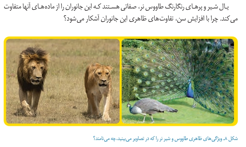 جواب سوال صفحه ۷۰ علوم هشتم‌