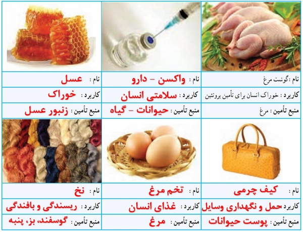جواب پودمان ۷ (پرورش و نگهداری از حیوانات) کار و فناوری هشتم جواب کار کلاسی صفحه ۱۰۱ کار و فناوری هشتم