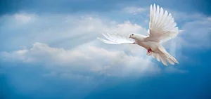 جواب درس شانزدهم فارسی هشتم