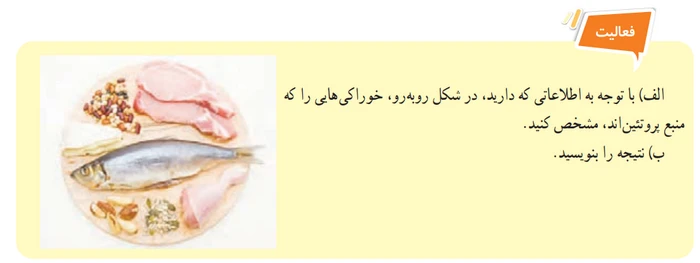 جواب فعالیت صفحه ۱۱۱ علوم هفتم
