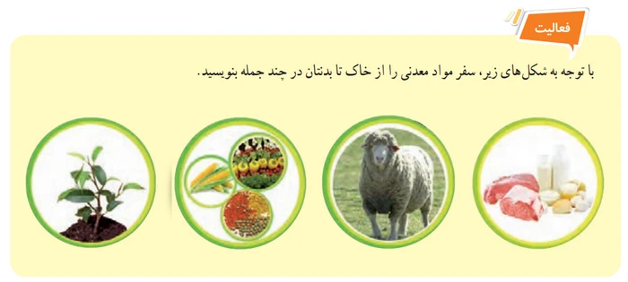 جواب فعالیت صفحه ۱۱۴ علوم هفتم
