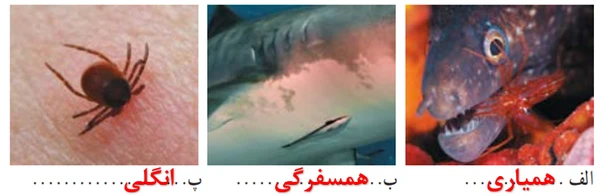جواب خود را بیازمایید صفحه ۱۶۷ فصل ۱۵ علوم نهم
