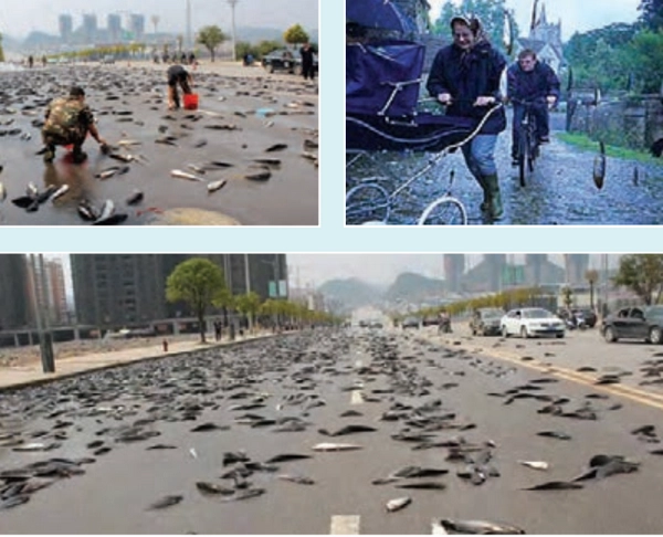معنی صفحه ۳۲ عربی دهم انسانی