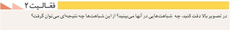 جواب فعالیت ۲ صفحه ۱۴۶ تاریخ دهم انسانی
