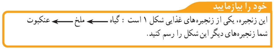 جواب درس پانزدهم علوم نهم جواب خود را بیازمایید صفحه ۱۶۵ علوم نهم