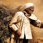 جواب درس یازدهم دین و زندگی یازدهم ریاضی و تجربی