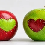 جواب درس دوازدهم دین و زندگی یازدهم ریاضی و تجربی