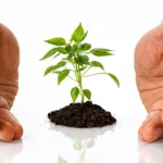 جواب درس سوم دین و زندگی یازدهم ریاضی و تجربی