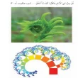 جواب فصل ششم ریاضی هشتم
