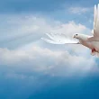 جواب درس شانزدهم فارسی هشتم