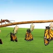جواب درس واقعیت تفکر و سبک زندگی هشتم