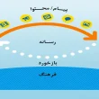 جواب درس سوم تفکر و سواد رسانه ای دهم