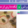جواب پودمان ۷ (پرورش و نگهداری از حیوانات) کار و فناوری هشتم