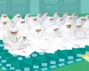 جواب درس پانزدهم ریاضی اول ابتدایی