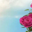 جواب سوالات درس پنجم هدیه‌ های آسمان پنجم ابتدایی